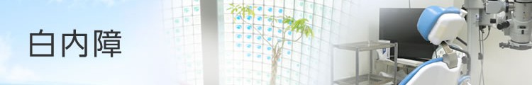 白内障とは